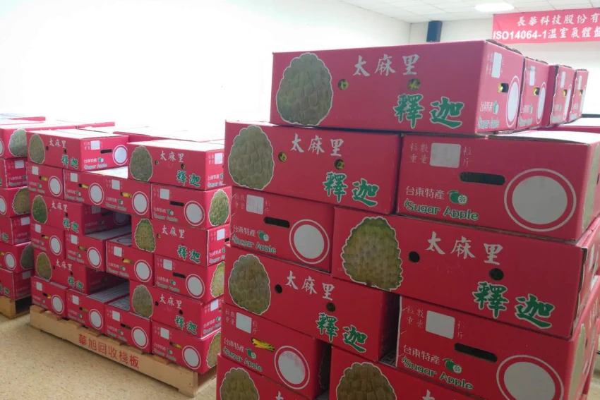訂購221餘箱鳳梨釋迦 力挺台灣在地優質果農